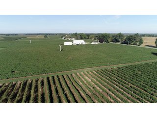 Van Buren County, Michigan Farmland - LAND AUCTION - 300+/- ACRES SPECIALTY CROP - GRAPES AND HOPS - OFFERED IN 8 TRACTS IN VAN BUREN COUNTY, MICHIGAN